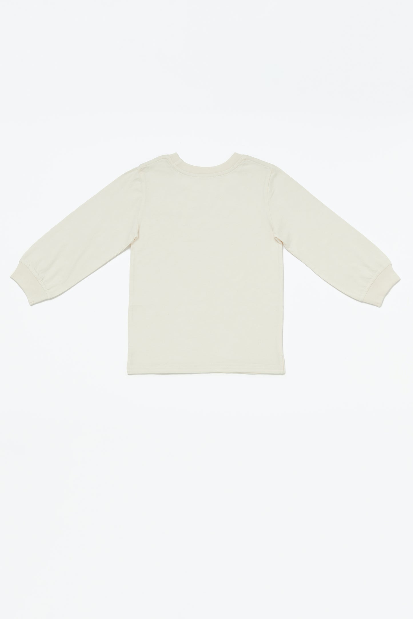 Iceblock Longsleeve