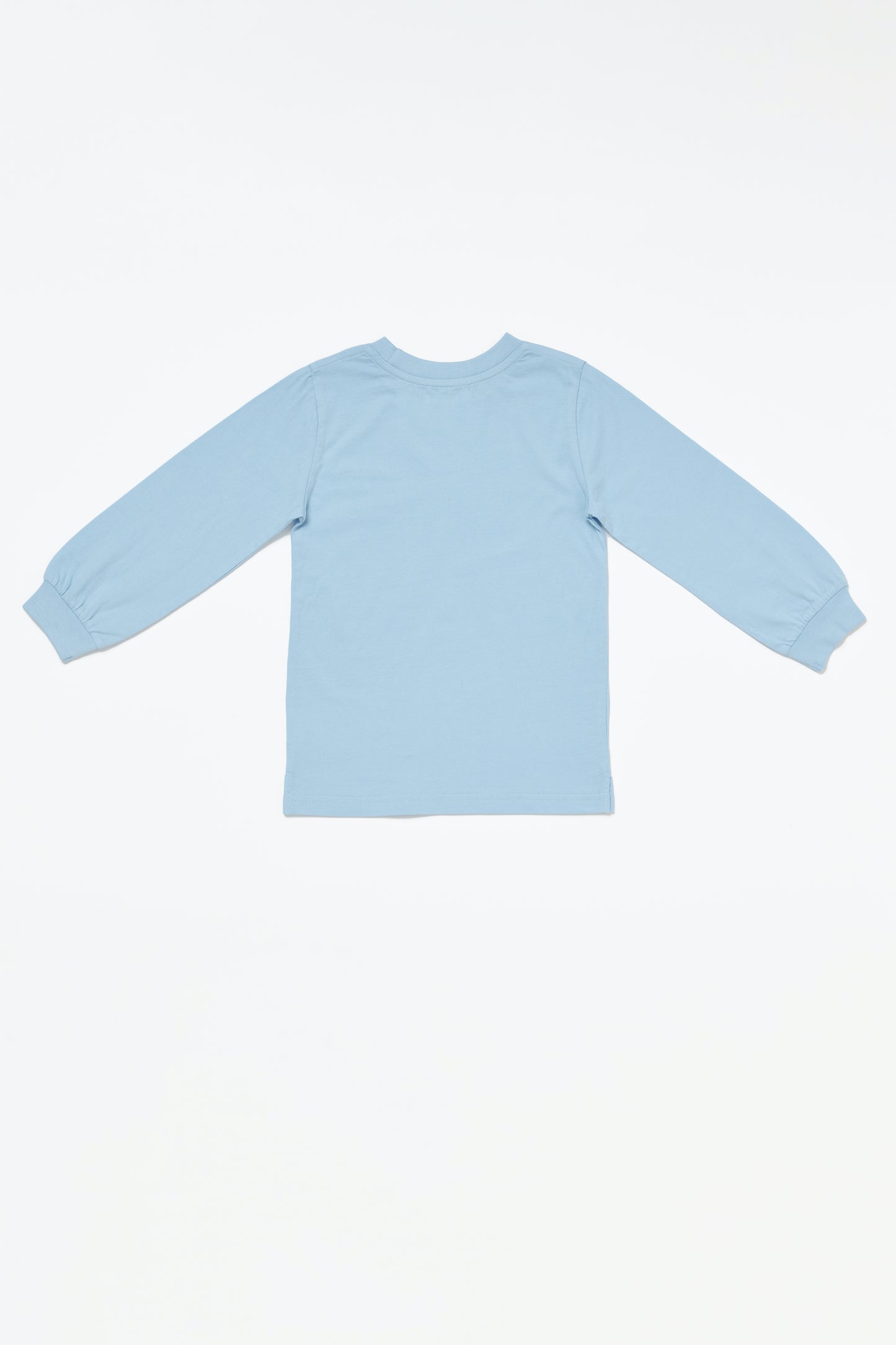 Iceblock Longsleeve