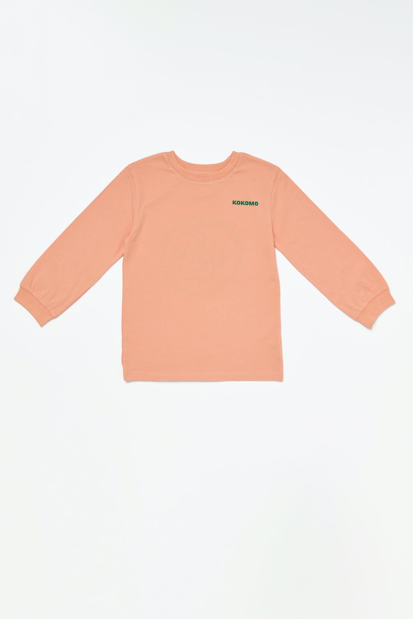 Iceblock Longsleeve